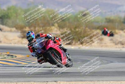 media/Oct-06-2024-Race Pace (Sun) [[d7d39ec7ad]]/6-Turn 5 (840am)/